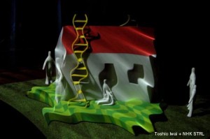 morphovision